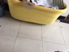 正在生成文章，请稍候…
